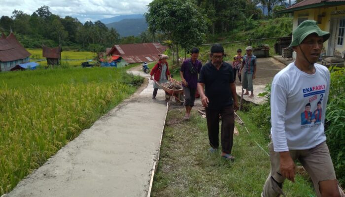 Perantau dan Masyarakat Jorong Sawah Diujuang Kompak Bangun Jalan Lurah Sapan