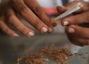 Masyarakat Indonesia Beralih ke Rokok Murah, Bea Cukai Beri Tanggapan