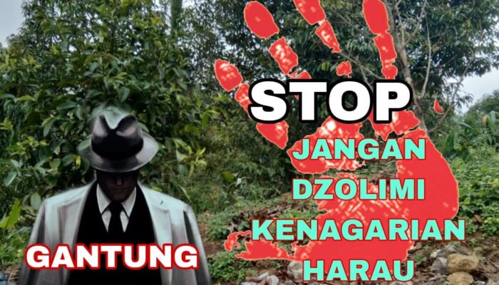 Usut Tuntas Penyerobotan Lahan dan Pengrusakan Tanaman Warga Kenagarian Harau