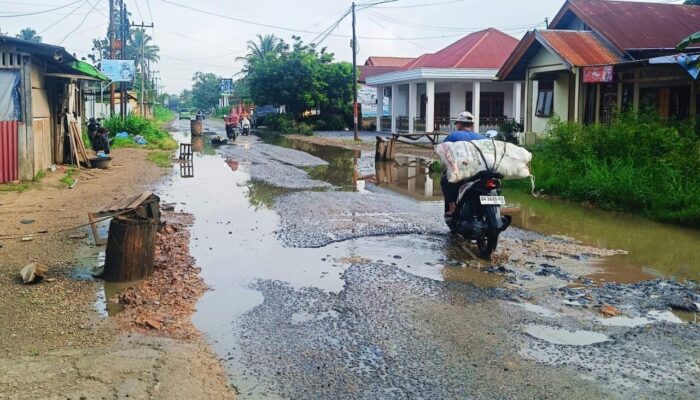 Jalan Kabupaten Koto Tangah Simalanggang dan Taeh Rusak Parah