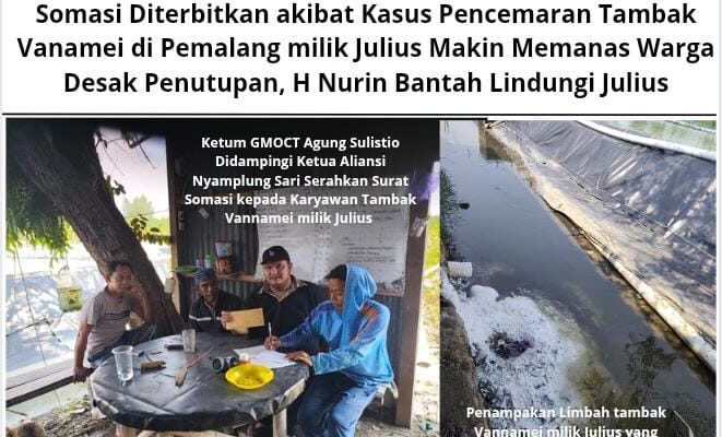 Somasi Dilayangkan akibat Kasus Pencemaran Tambak Vanamei di Pemalang milik Julius Makin Memanas Warga Desak Penutupan, H Nurin Bantah Lindungi Julius