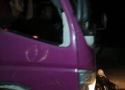 Ilegal Logging di Kuantan Mudik – Kuansing Semakin Menggila, 6 Unit Cold Diesel Berisikan Kayu Lalu Lalang di Teratak