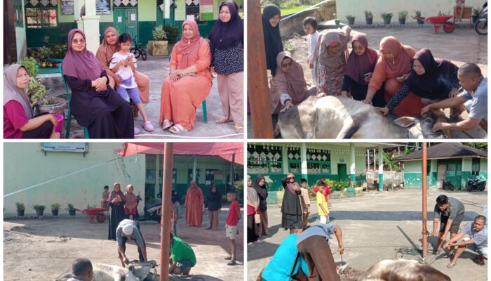 UPTD SD Negeri 10 Pangkalan Qurban Satu Ekor Sapi