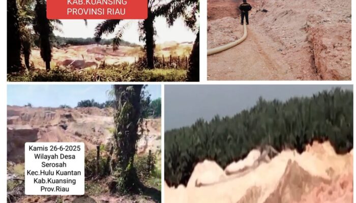 Sebulan Lalu Berduka Masyarakat Kuansing Karena Seorang Tertimbun Dilokasi PETI Wilayah Gunung Toar dan Setelah Itu Hingga Saat Ini Masih Disoroti Aktivitas PETI Wilayah Tersebut Sektor Kuantan Mudik