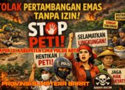 Publik Menilai Pemerintah Dan Aparat Penegak Hukum Kurang Serius Atasi Persoalan Tambang Ilegal Di Kapur IX