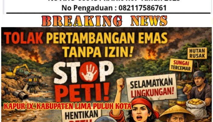 Aktivitas PETI Kapur IX Menjadi Sorotan Publik Praktik Upeti : APH Di Nilai Tebang Pilih