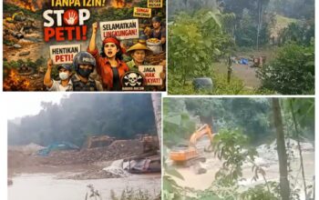 Aktivitas Tambang Emas Ilegal (PETI) di Kapur IX Merajalela, APH Diduga Tutup Mata “Bungkam”