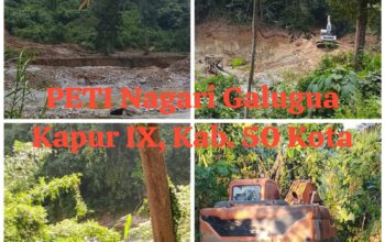 PETI Kebal Hukum, Tambang Emas Ilegal di Kab.50 Kota Beroperasi Terang-Terangan