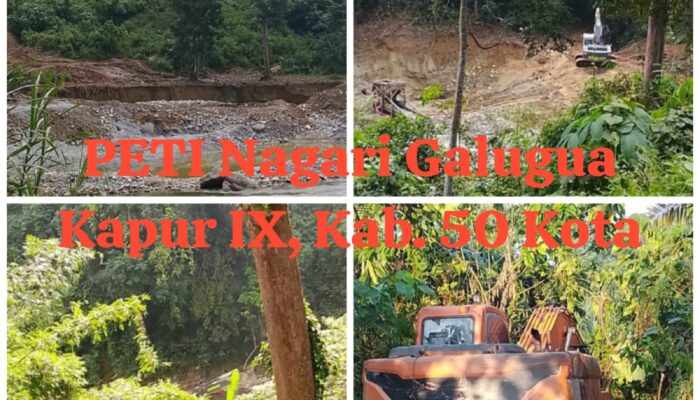 PETI Kebal Hukum, Tambang Emas Ilegal di Kab.50 Kota Beroperasi Terang-Terangan