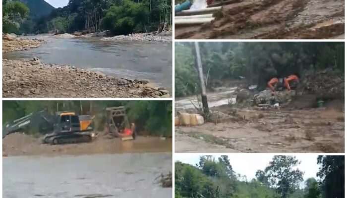 PETI Marak di Kab.50 Kota dan Kebal Hukum : Rusak Ekosistem Alam