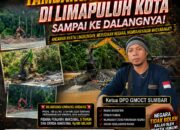 Dapat Laporan Anggota Media, GMOCT Sumbar Desak Usut Tuntas Tambang Emas Ilegal di Limapuluh Kota Sampai ke Dalangnya