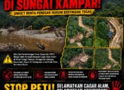 Tambang Emas Ilegal Merambah Cagar Alam di Sungai Kampar, GMOCT Minta Penegak Hukum Bertindak Tegas