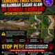 Tambang Emas Ilegal Merambah Cagar Alam di Sungai Kampar, GMOCT Minta Penegak Hukum Bertindak Tegas