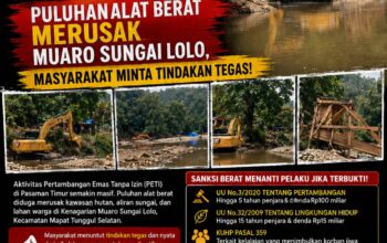 Marak PETI di Pasaman Timur: Puluhan Alat Berat Merusak Muaro Sungai Lolo, Masyarakat Minta Tindakan Tegas