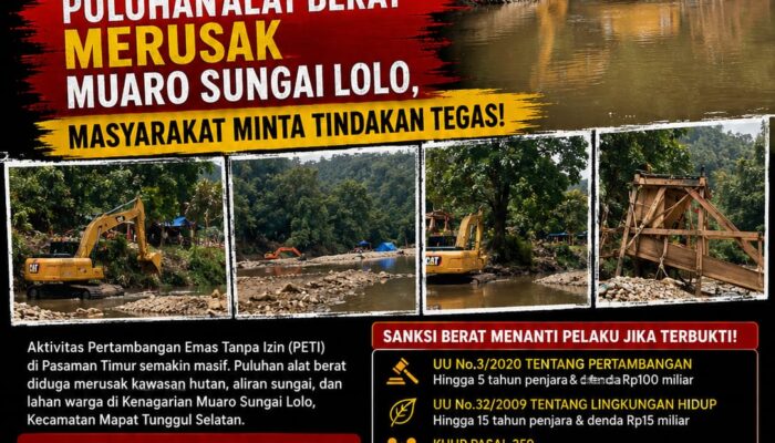 Marak PETI di Pasaman Timur: Puluhan Alat Berat Merusak Muaro Sungai Lolo, Masyarakat Minta Tindakan Tegas